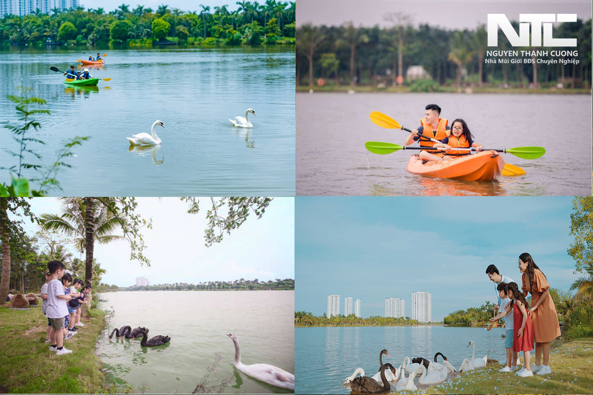 Image of Hung Yen ecopark swan lake park with a large water park and surrounding amenities