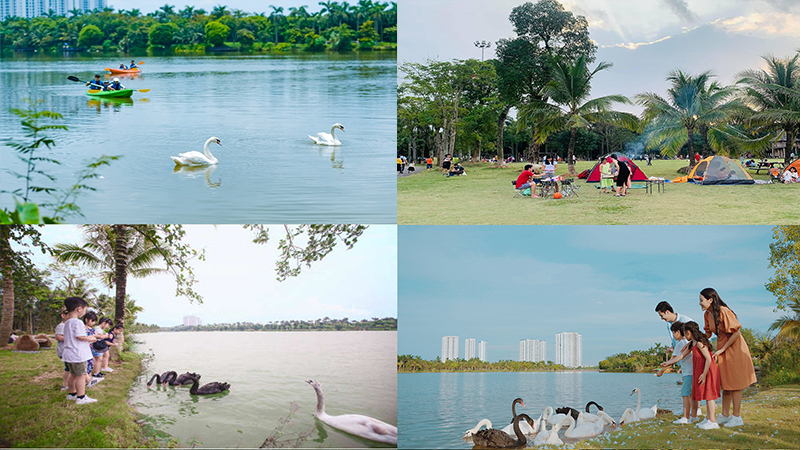 Image of Swan Lake ecopark Hung Yen